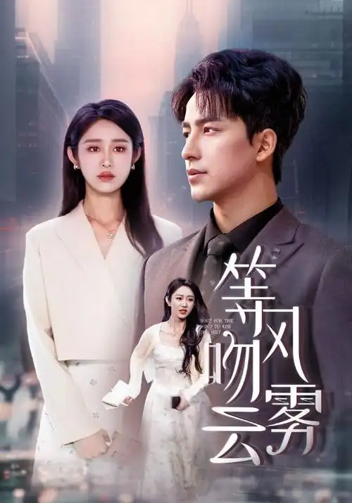 沉默的真相 剧集海报